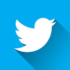 Twitter Icon 